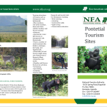 Echo Brochure