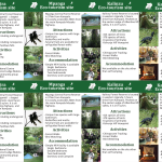 Echo Brochure 3