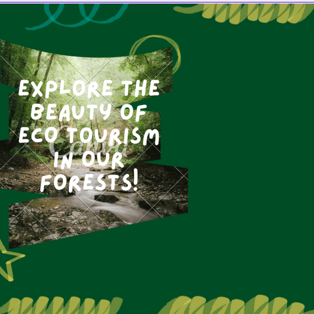 Eco Tourism