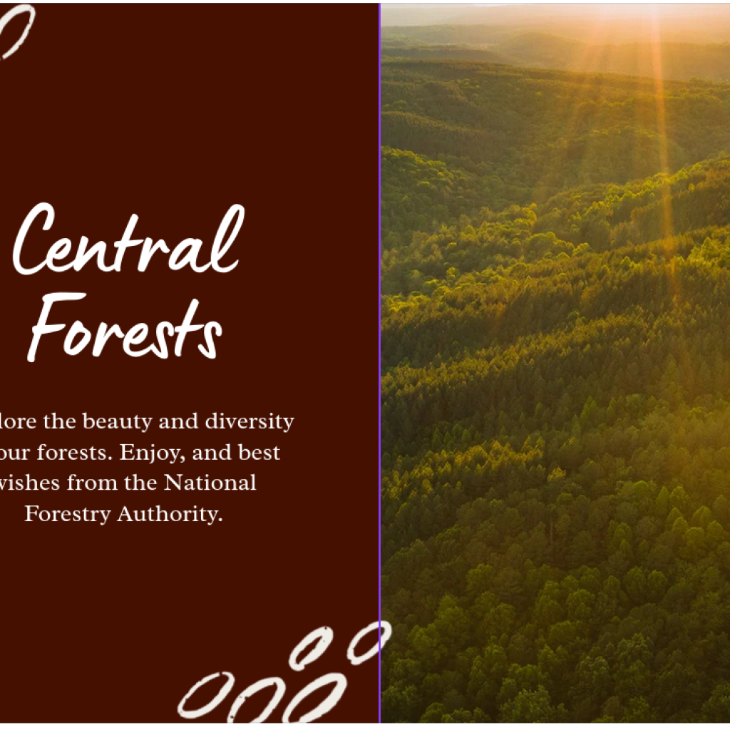 CFR Catalogue